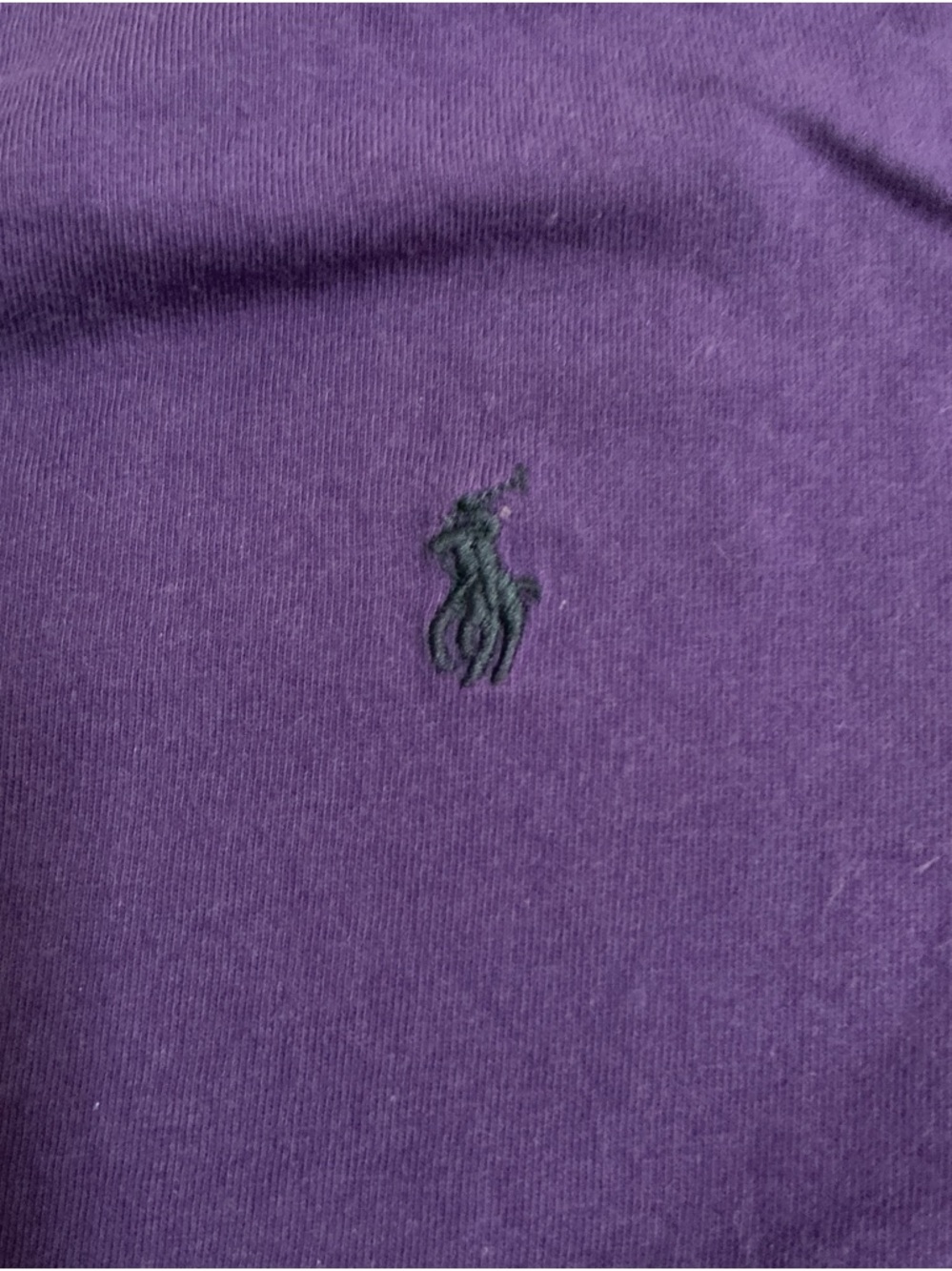 Polo by Ralph Lauren Deep Purple Crewneck Sweater with Embroidered Pony